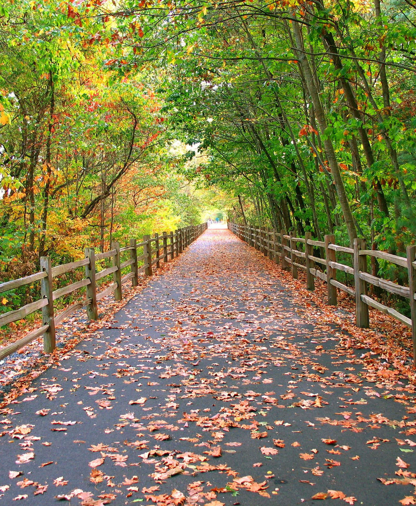 Schuylkill River Trail Offers Philadelphia Walkers, Cyclists Flexible Escape Routes