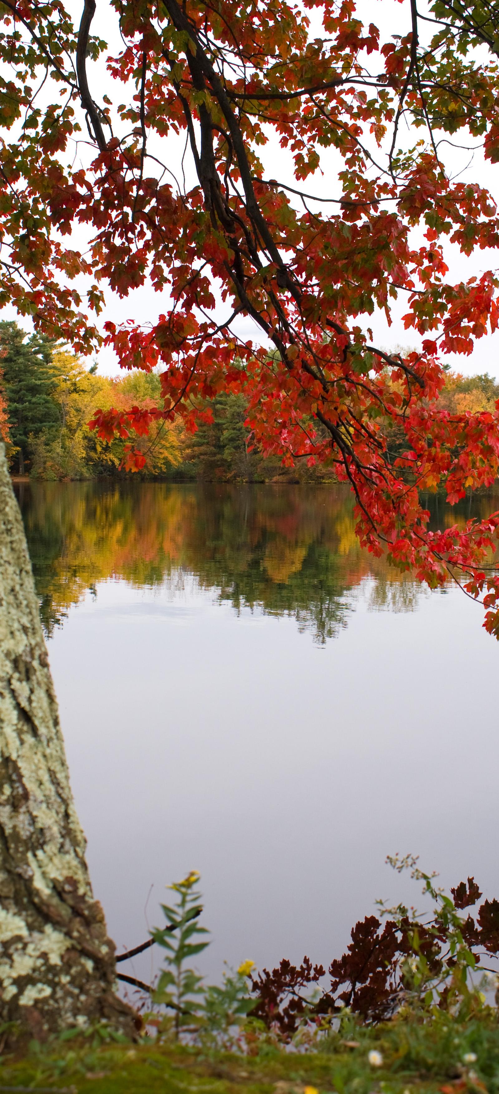 Philadelphia Parks and Museums Launch Fall-Winter Events This July