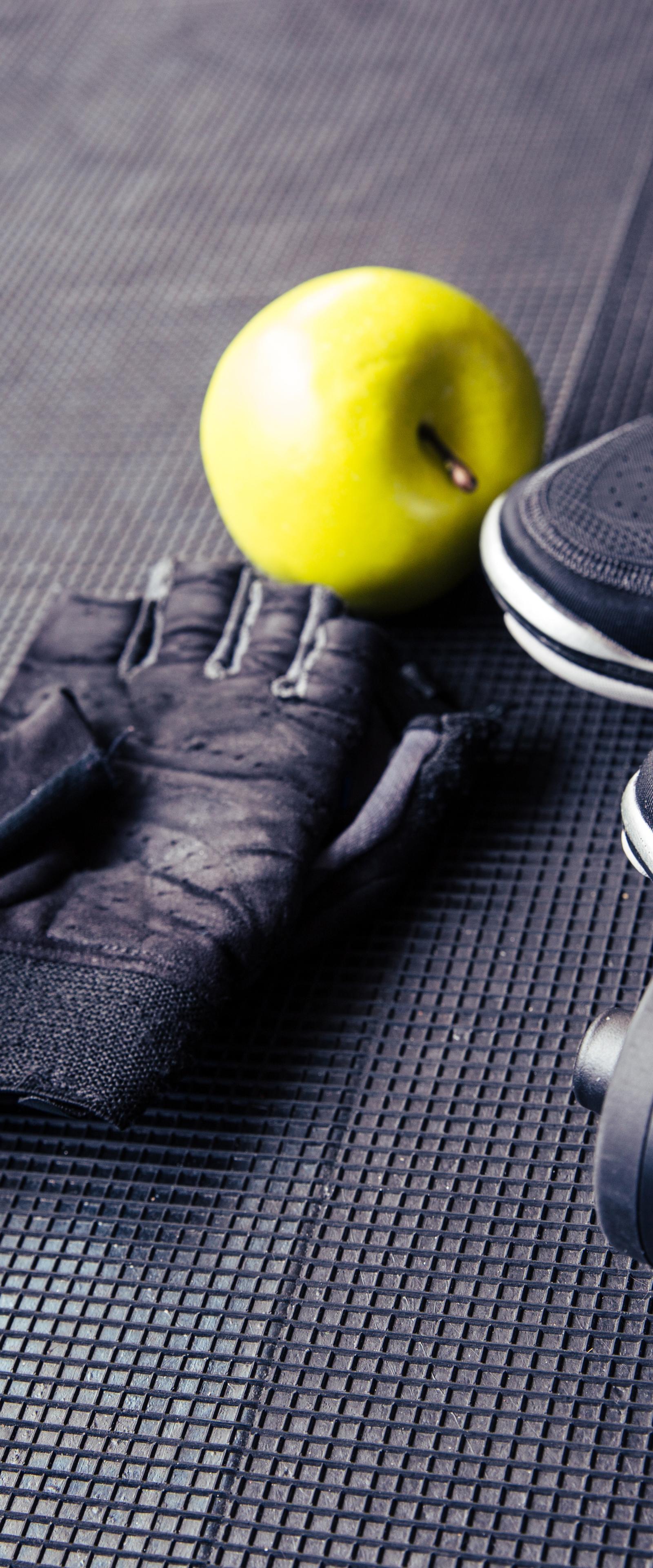 Philadelphia Pro Sports Scene and Local Fitness Culture